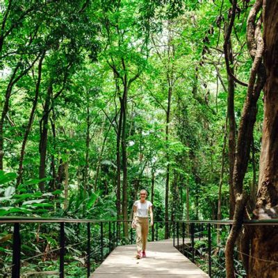 De Jardín Botánico de Medellín: Een tropisch paradijs vol exotische flora en fauna!